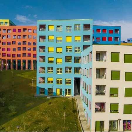 Hejli's * Tirana